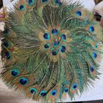 Art Deco Peacock Feather Round Fan With Metallic Colorful Ribbon Wrapped Handle