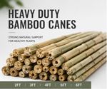 Heavy Duty Bamboo Canes Thick Strong Canes Garden Plants Support Sticks 2FT-6FT