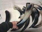 1000 ml Medieval Viking Drinking Cow Horn Reenactment Larp Medieval Valhalla 