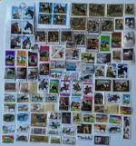 Horse Stamps Collection - 100 to 1000 Different Stamps 