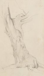 P. Becker (1828-1904), adult tree trunk, pencil Romantic nature