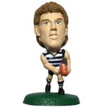 Corinthian AUSSIE RULES Headliners GEELONG CATS Home HOCKING AFL13 Loose No Card