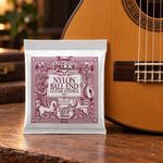 Ernie Ball Ernesto Palla Black and Gold Ball-End Nylon Classical Guitar Strings
