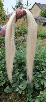 BEST Quality Rocking Horse mane hair crafting. BLONDE 51" long.  Around 330gms