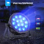 10x IP65 Waterproof LED Par Light 14x15W RGBW DMX Outdoor Stage Lighting DJ Bar
