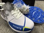 PAYNTR Cricket Spikes Shoes Size 5 New