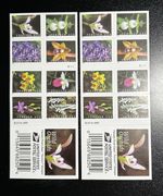 40ct Wild Orchids Forever Stamps, 2 Books, FREE SHIPPING, Flowers, Nature 