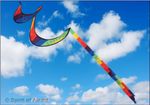 Twister Windsock 50" (127cm) High Quality by Spirit of Air Festival Spinner