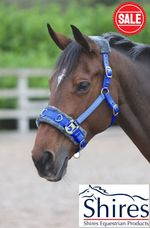 SHIRES LUNGE CAVESSON  FLEECE LINED COMFORT FULL size Adjustable Fit BLUE