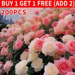 200pcs Climbing Rose Flower for Home Garden -Premium Seed - Easy-Grow Rose Seeds