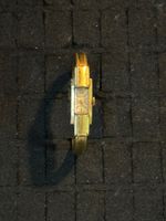 Antique Tramelan Womens Wristwatch Fond Acier Inoxydable 707070 4925 D