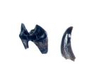 Cretaceous Hell Creek Mammal tooth fossil Ambilestes cerberoides collection #2