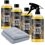 Ceramic Detailer Gloss Spray – SiO2 Wax Sealant For Paint, Glass & Trim Coating