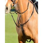 Kincade Classic 3 Point Breastplate with Running Martingale - Brown