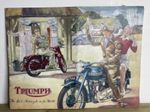 1951 Triumph Speed Twin Tiger Thunderbird Trophy Motorcycle  Brochure