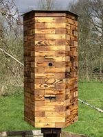 Natural Bee Hive Log Hive Wild Hive Bait Hive Rewilding WITHOUT HONEY BOX