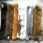 6X Real Fur Rabbit Skin Tanned Natural Pelts Hide For Animal Leather Craft Dummy