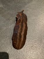 Authentic Ghanaian Prekese Pods (Aidan Fruit / Tetrapleura Tetraptera) – 5 Whole