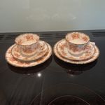 Antique Trio Cup And Saucer, Plate  X2 Wild Brothers Pattern Edna