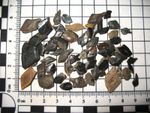 Cretaceous Hell Creek fossil dinosaur beds Lepisosteus gar fish scales lot of 50