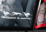 Whippets in Motion - Car Window Sticker - Whippet Snap Dog on Board Sign - TYP3