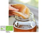5 Litre Organic Kombucha Scoby + Instruction And Starter Tea by Kombuchaorganic®