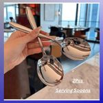 2Pcs Extra Large Stainless Steel Serving Spoons, Long Handle, Thick Design