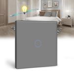BSEED Touch Light Switch 1 Gang 2 Way, Tempered Glass Panel Light Switch (R41)