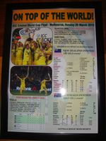Australia 2015 ICC Cricket World Cup Winners - framed print