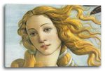 Canvas/Frames Sandro Boticelli - The Birth of Venus (Detail)