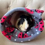 Guinea Pig / Hedgehog Snuggle Pouch / Snuggle Sack / Piggy Pouch