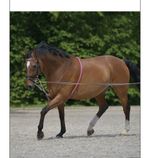 Equipride Soft Lunging Aid Training Aid Cotton Size  Full - Cob - Pony