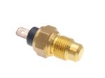 CPI SM 50 Temperature Sensor (AM6 - Single Pin)