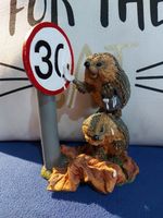 Hedgies - Dominic And Daisy : Slow Down - 90490
