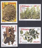 Ethiopia: 2004: Rhamnaceae / Gesho, MNH