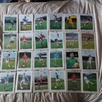TYPHOO TEA CARD 10 INCH X 8 INCH THICK CARD FOOTBALL STARS FULL SET 24 CARDS R