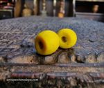 Antique Tibetan Dzi Bead – Coral Accent