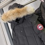 ⭐Canada Goose Wyndham Parka Down Cotton Coat Coyote Fur Winter Outerwear
