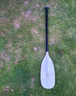 Werner Nantahala 163cm Canoe Paddle Whitewater Composite T Grip 64in USA