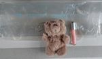 Ariana Grande REM Beauty Bear with Lip Gloss Balm & Clear Bag – London Pop Up 