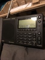 globe traveller g3 radio