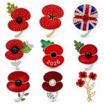 2026 UK Popi Pin Badges Brooch Remembrance Badge Military Brooch Veteran New