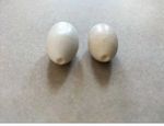 2x Replacement Sitar Bone Fine Tuning Bead Manka Sitar Spare Parts 