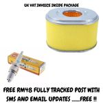 Hyundai HYW3100P HYW3000P Petrol Pressure Washer Service Kit, Filter Plug