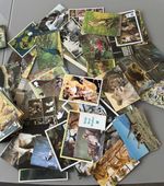100 Vintage Animal & Bird Postcards Job Lot – Mixed Wildlife Random Selection