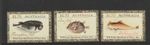 Australia 2026: WB Gould's Sketchbook of Fishes - Stamps - Design Set x 3 Stamps