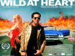 WILD AT HEART 1990 UK Quad poster print 30x40 DAVID LYNCH NICHOLAS CAGE FREE P&P