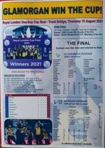 Glamorgan CCC Royal London One-Day Cup winners 2021 - souvenir print