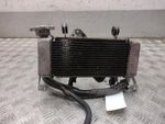 2019 YAMAHA YZF R125  Radiator