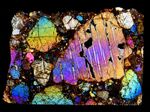 Meteorite NWA 17519 rare LODRANITE Achondrite - Microscope Slide Thin Section